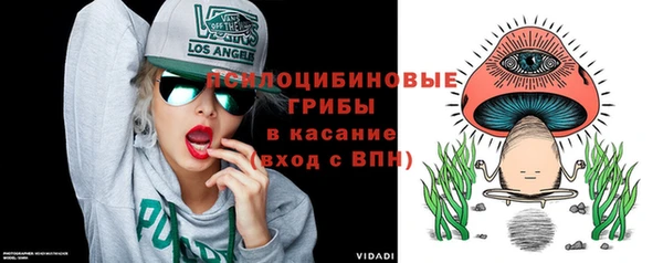 прущая мука Ельня
