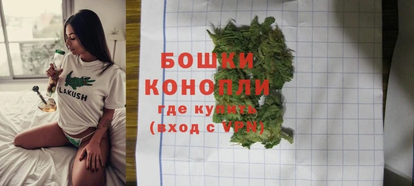 прущая мука Ельня