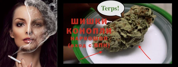 прущая мука Ельня