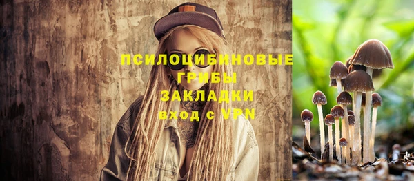 ECSTASY Елабуга